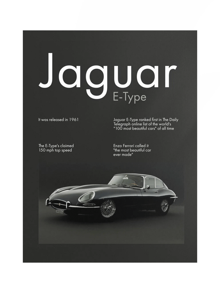 JAGUAR ETYPE product image (1)
