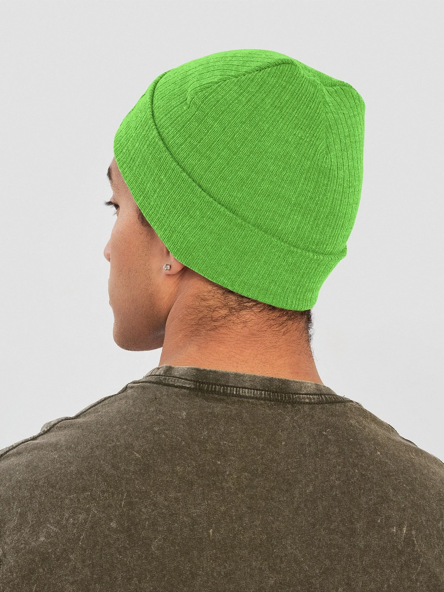 Embroidered Beanie product image (39)
