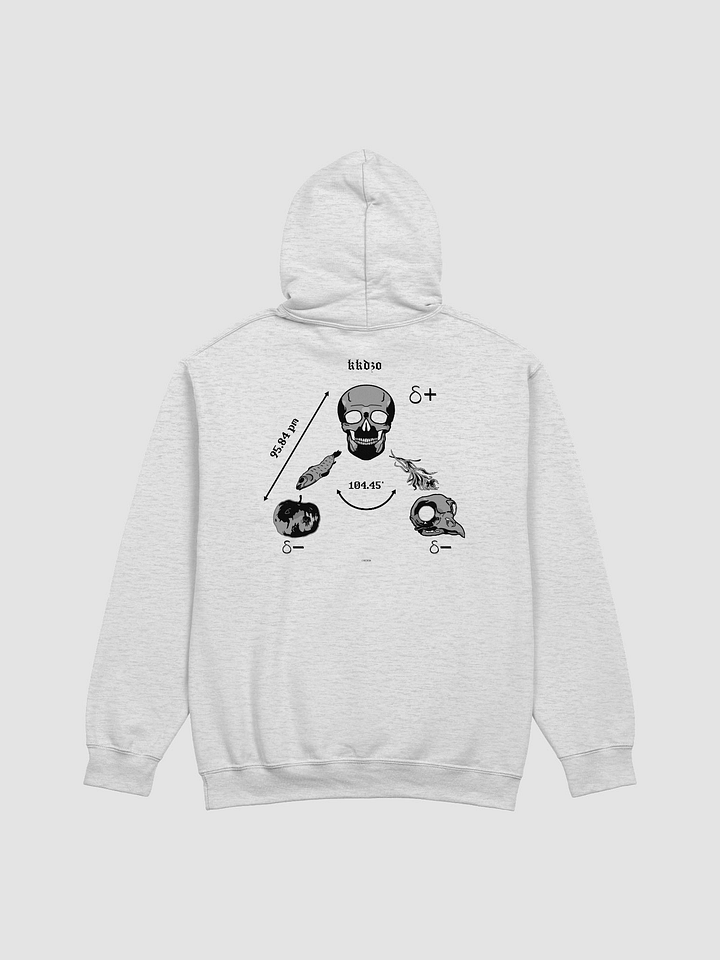 Saga Hydropolitique ( Hoodie Bright Edition ) product image (2)