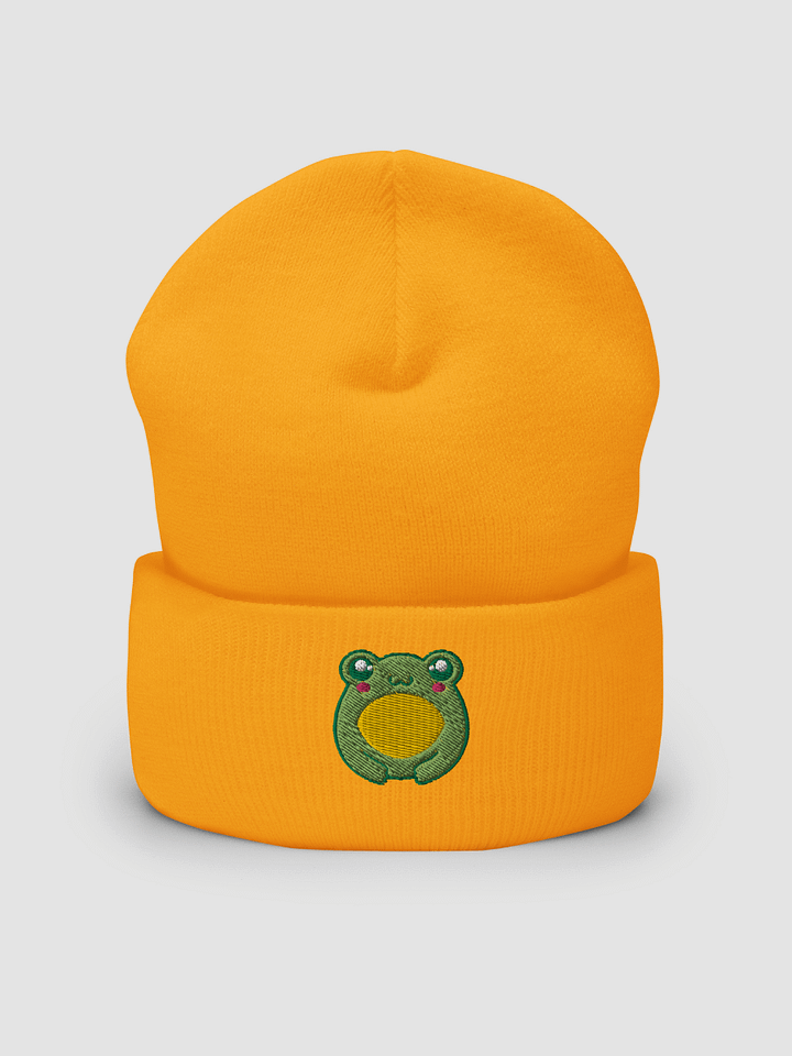 Froggo Embroidered Cuffed Beanie product image (1)