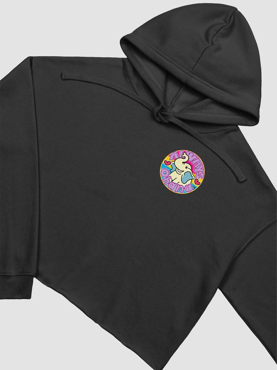 Always Ohana Cropped Hoodie product image (14)