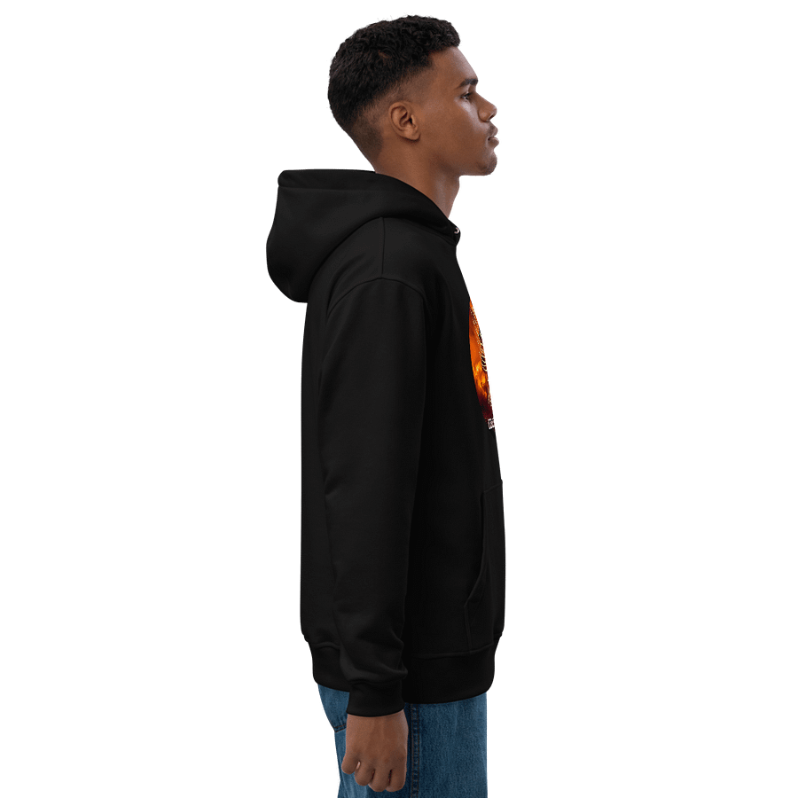 Courage & Co. Phoenix In Smog Hoodie product image (4)