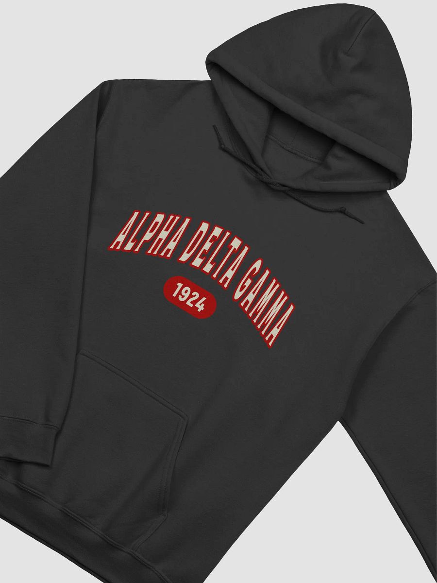 ADG 1924 - Hoodie product image (2)