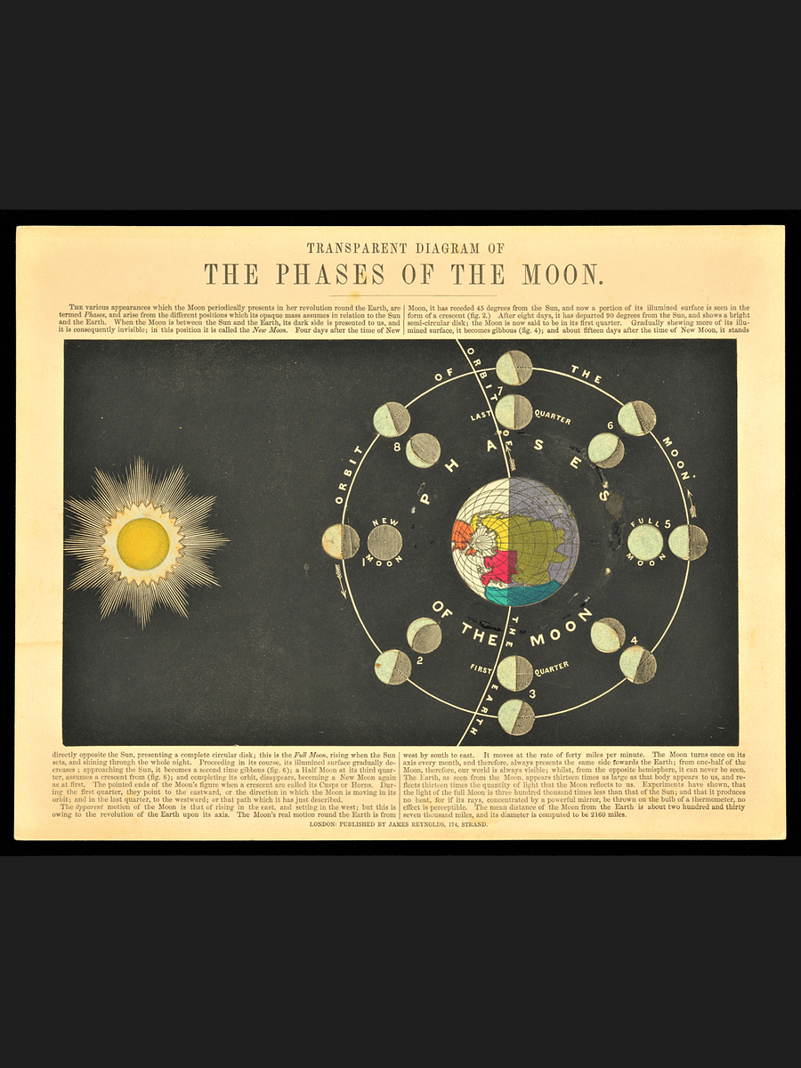 Vintage Phases of the Moon Soy Wax Candle product image (4)