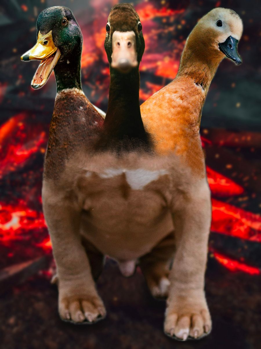 Tarot Downloads... Also Duckerus! product image (3)