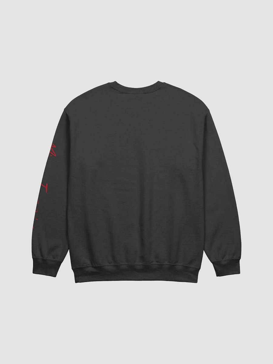 Spit Sweatshirt product image (3)