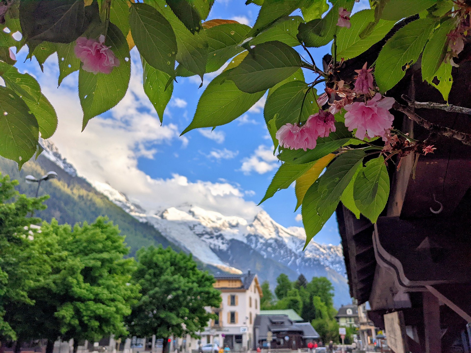 Spring in Chamonix product image (1)