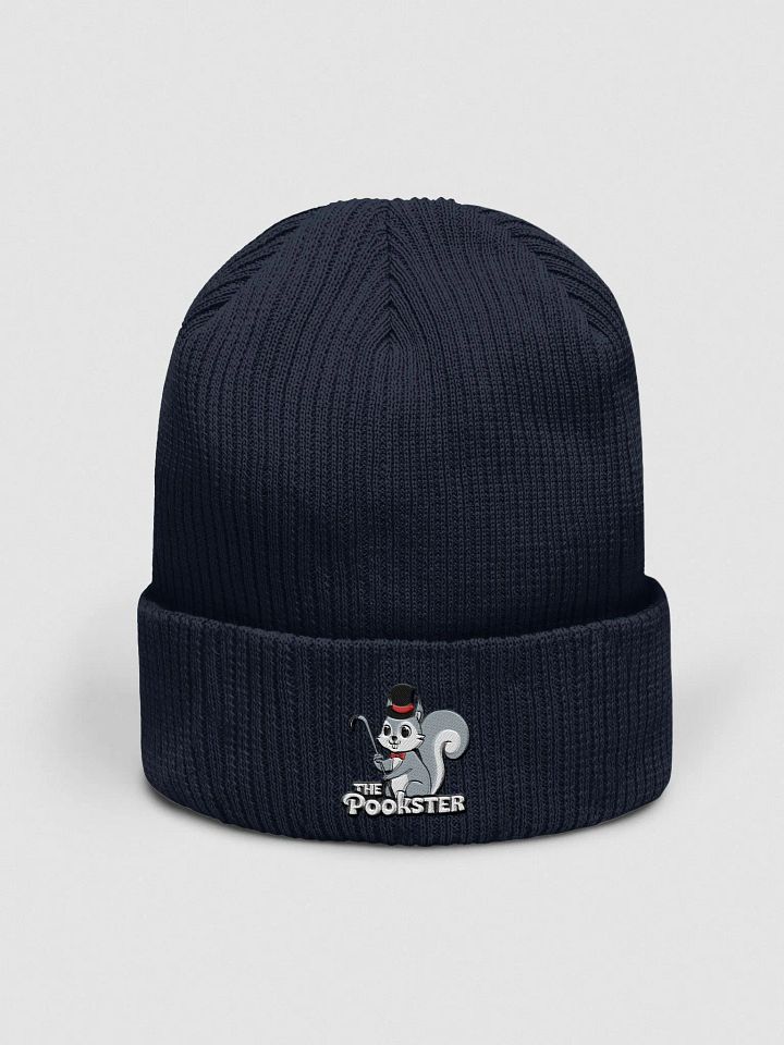 Organic Cotton Embroidered Beanie: Dapper Pookster product image (1)