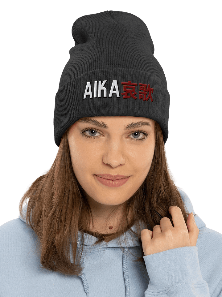 Cuffed Beanie product image (1)
