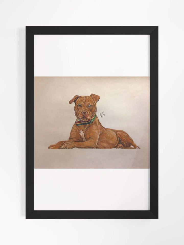Pitbull Colored Pencil Drawing Framed Print product image (1)