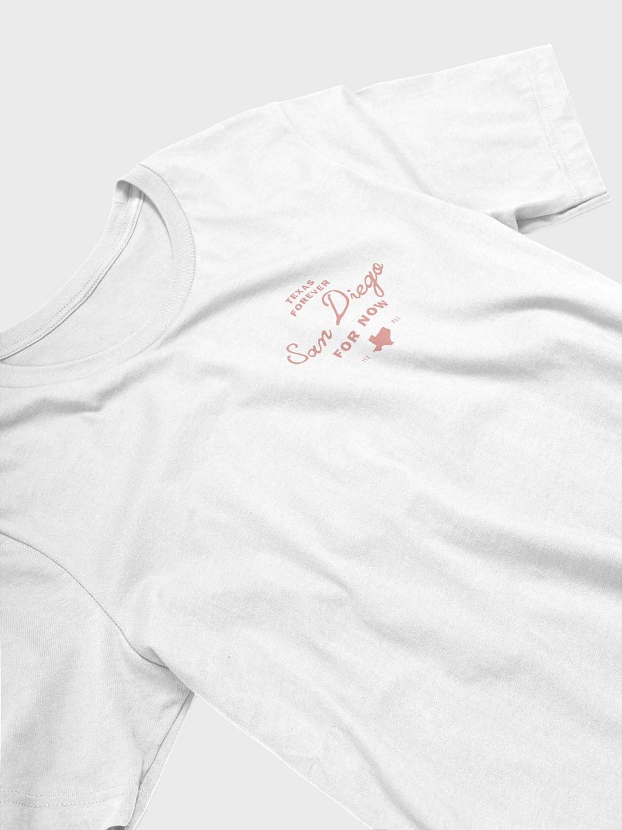 San Diego for now product image (3)