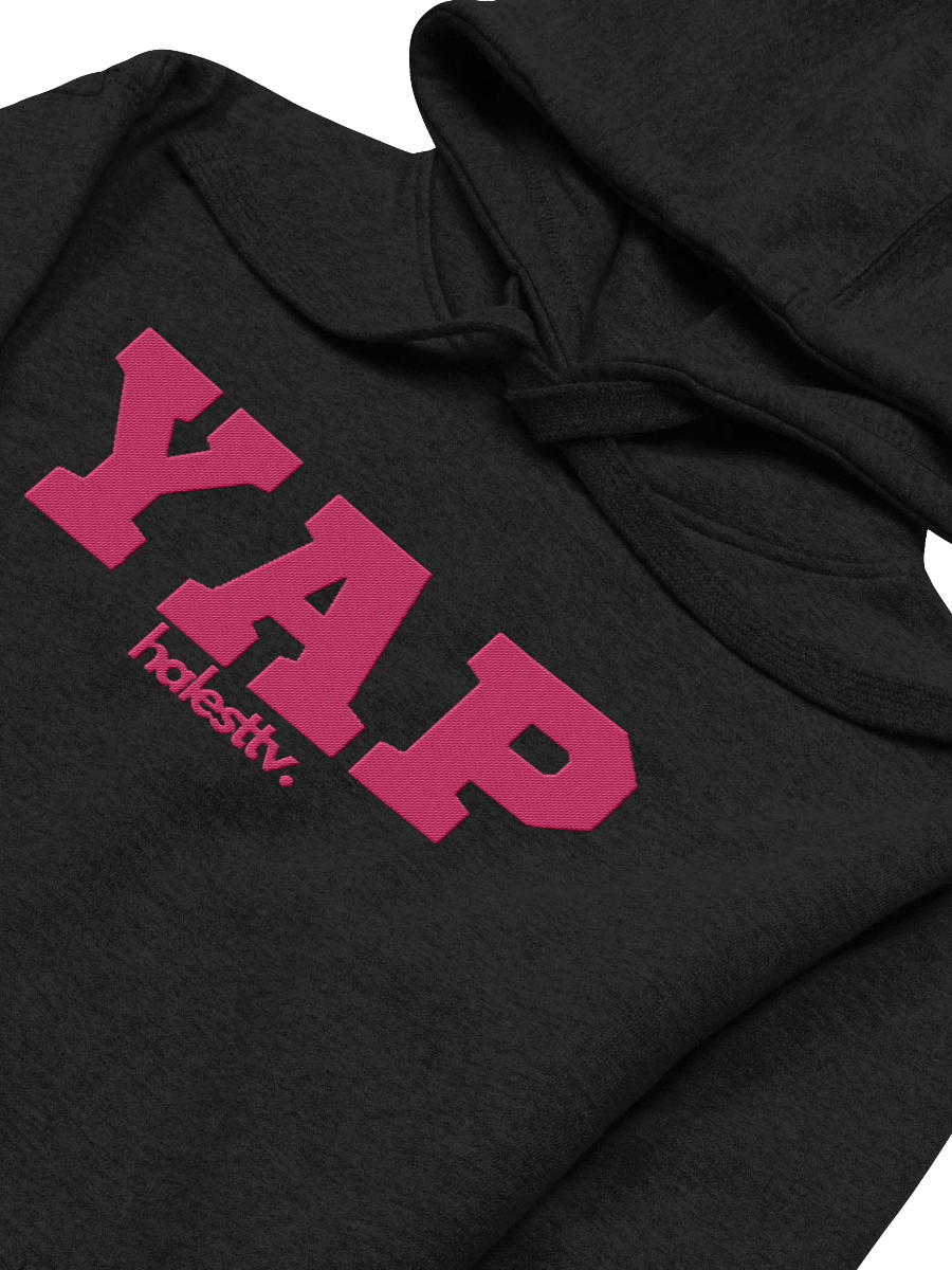 YAP embroidered hoodie product image (9)