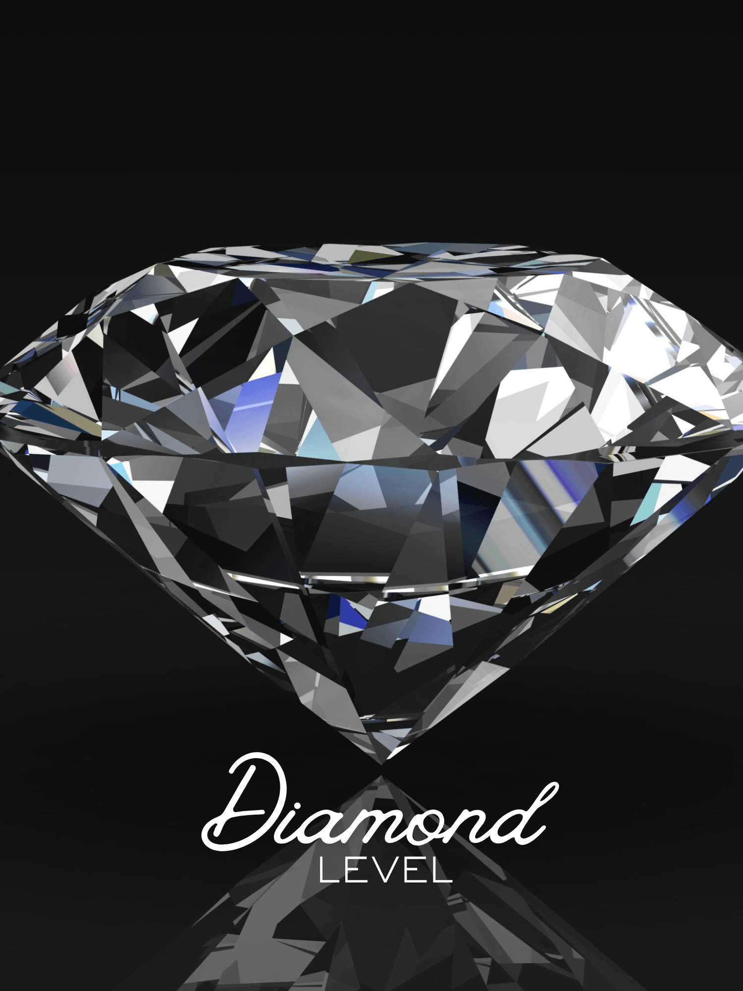 Diamond Level - Sponsorship product image (1)