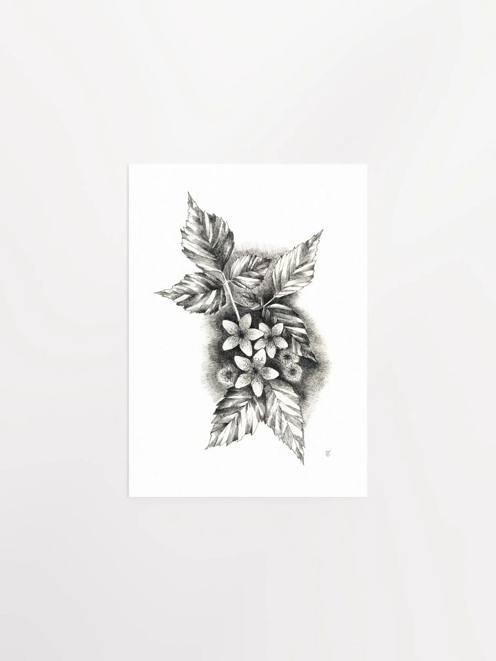 Botanical Bliss Matte Poster - Jasmine product image (1)