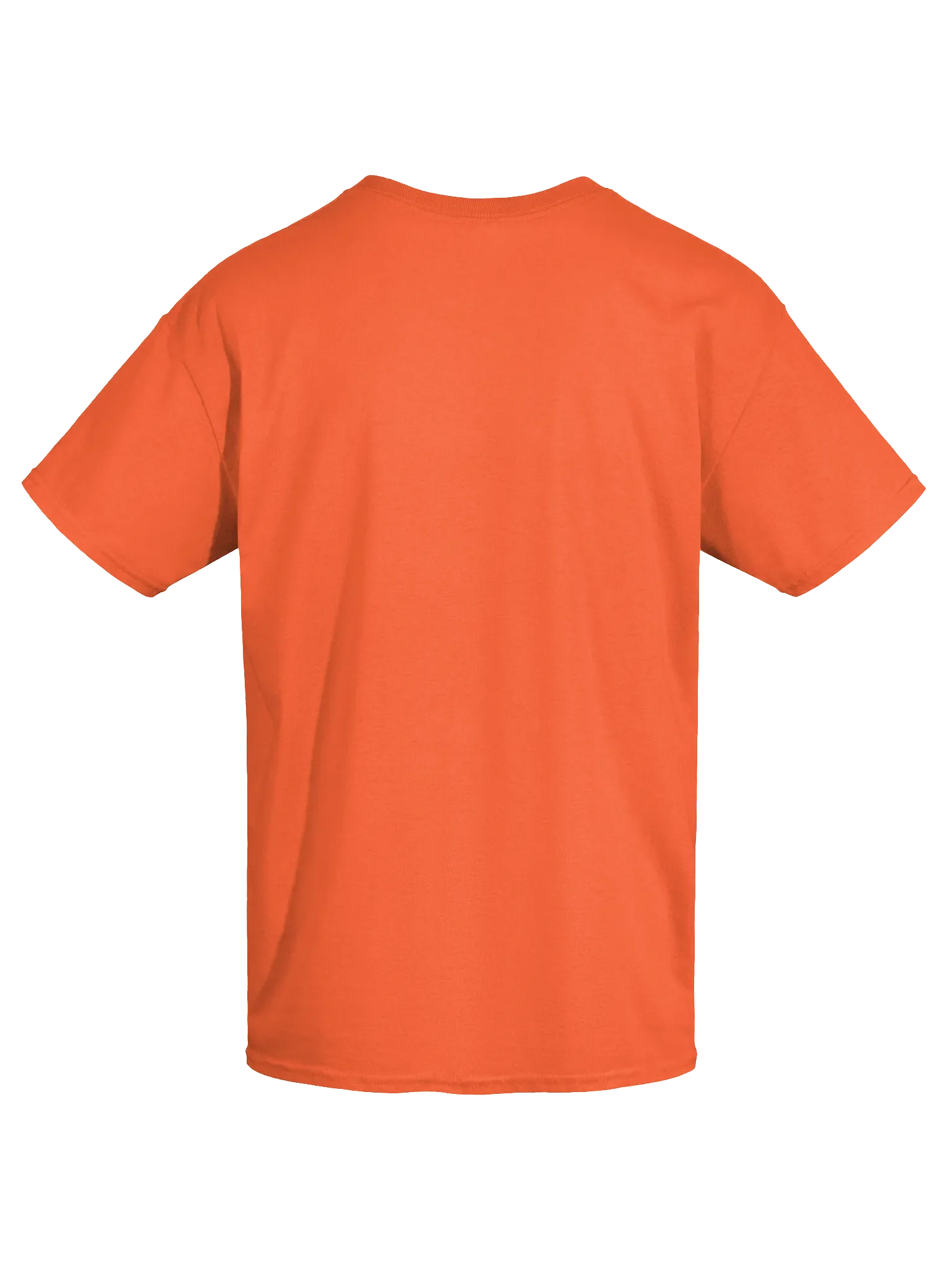 Dutch Countryside Vibes Classic Unisex T-Shirt product image (4)