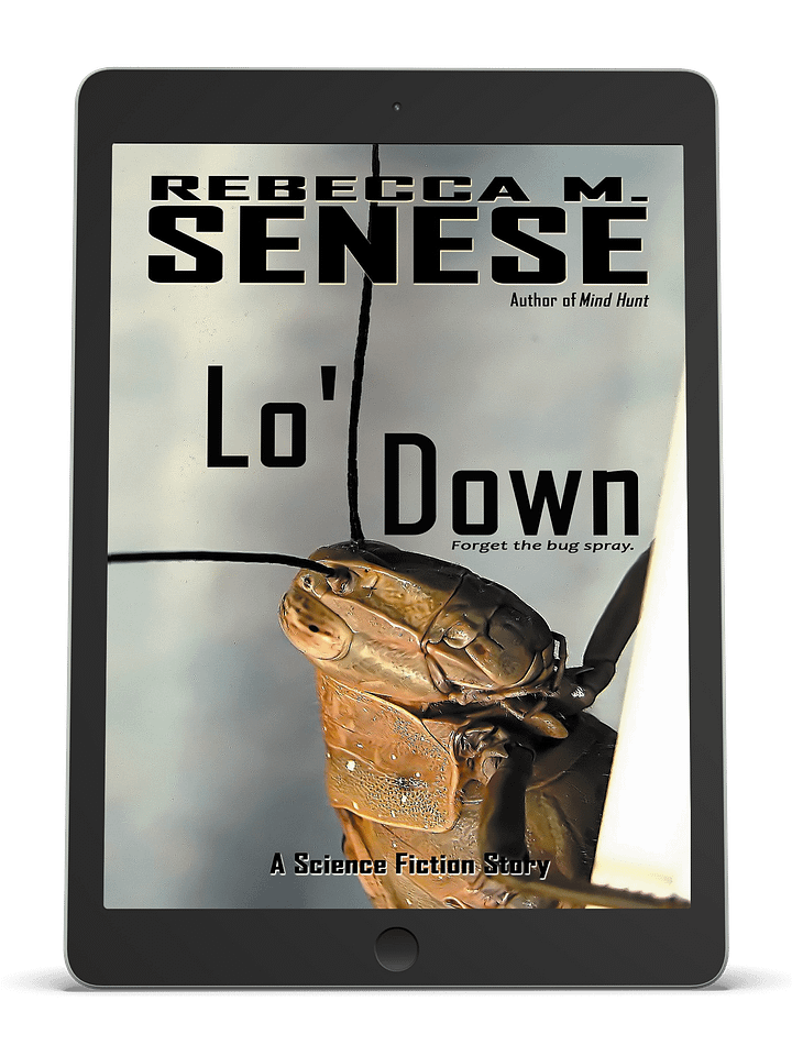 Lo' Down product image (1)