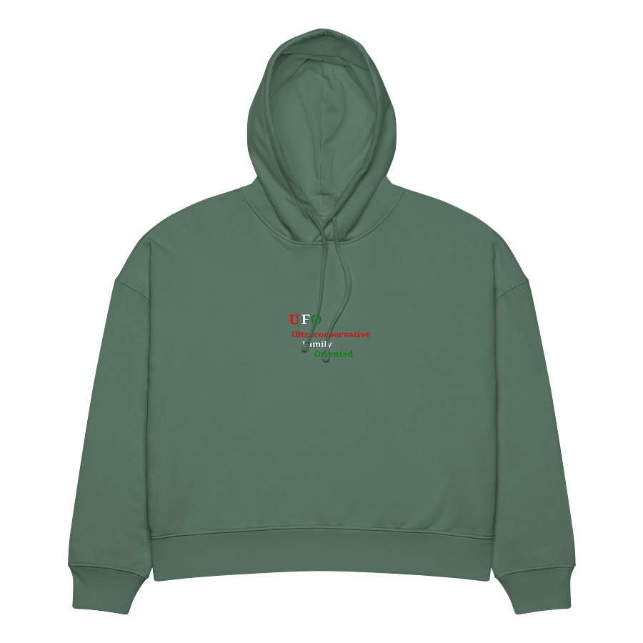 UFO Ultraconservative Family Oriented Hoodie product image (3)