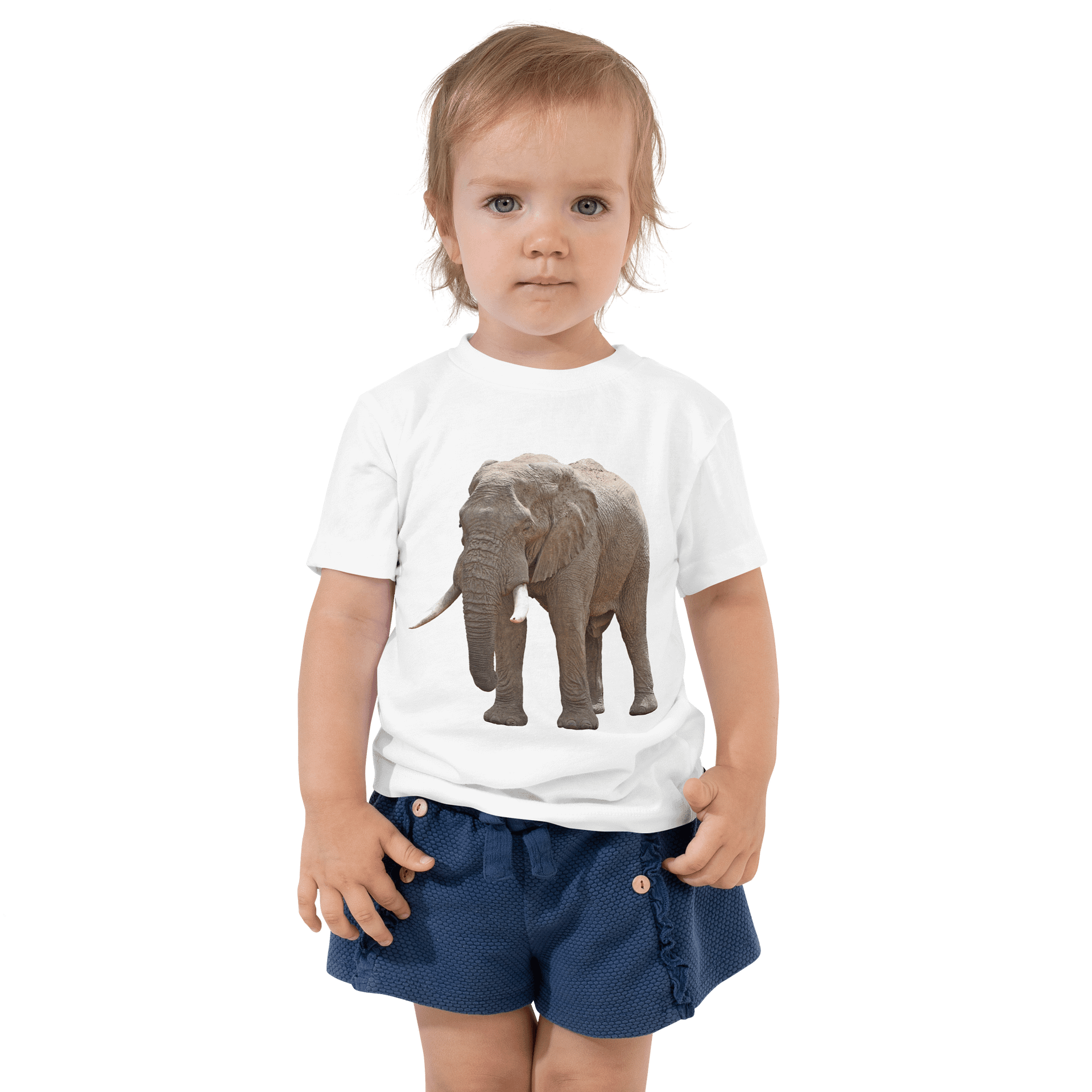 African Savanna Elephant product image (4)