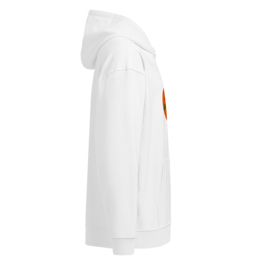 Organic Tree Spirit Relaxed Hoodie product image (5)