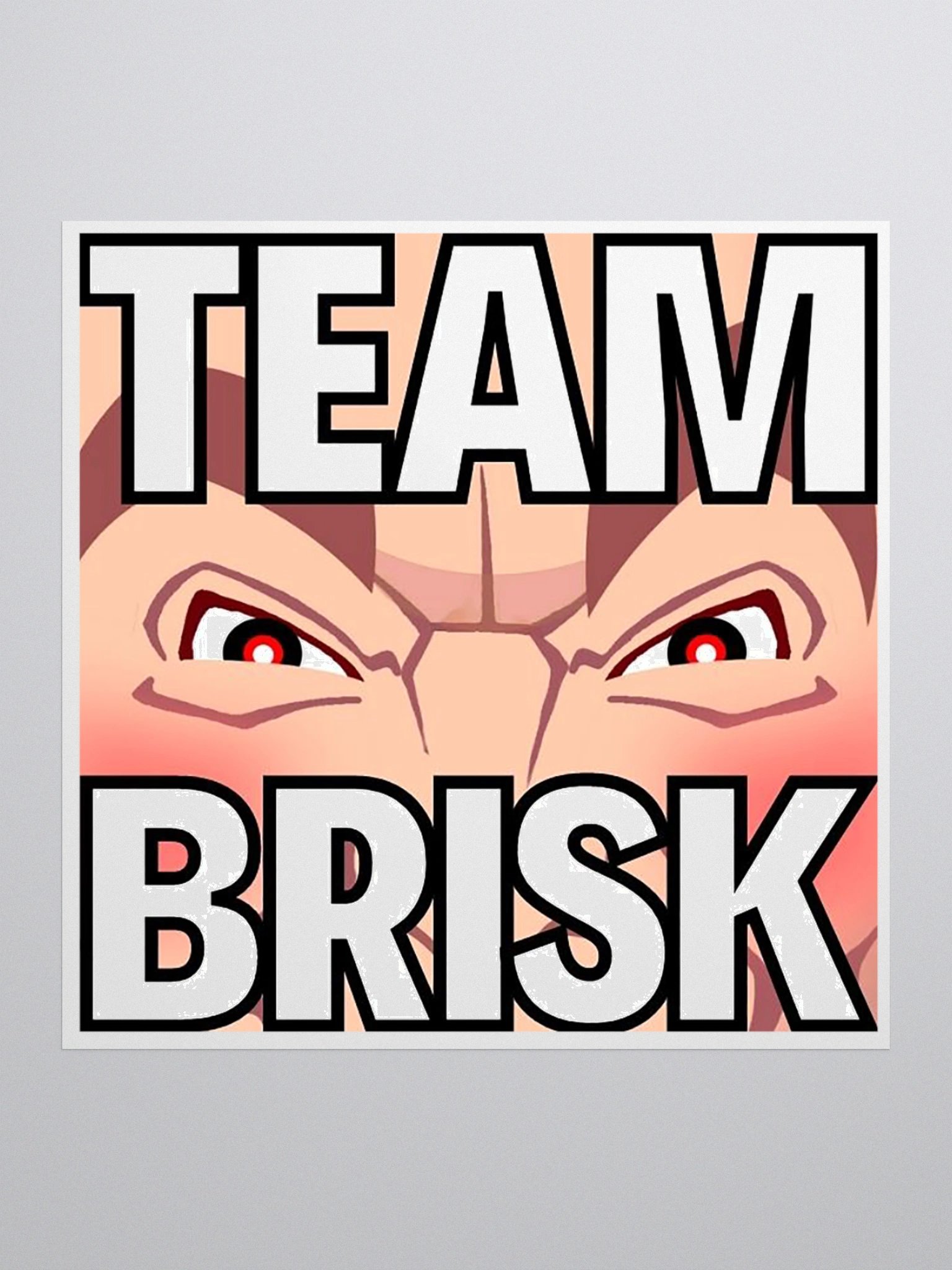 Team Brisk Die Cut Sticker product image (4)