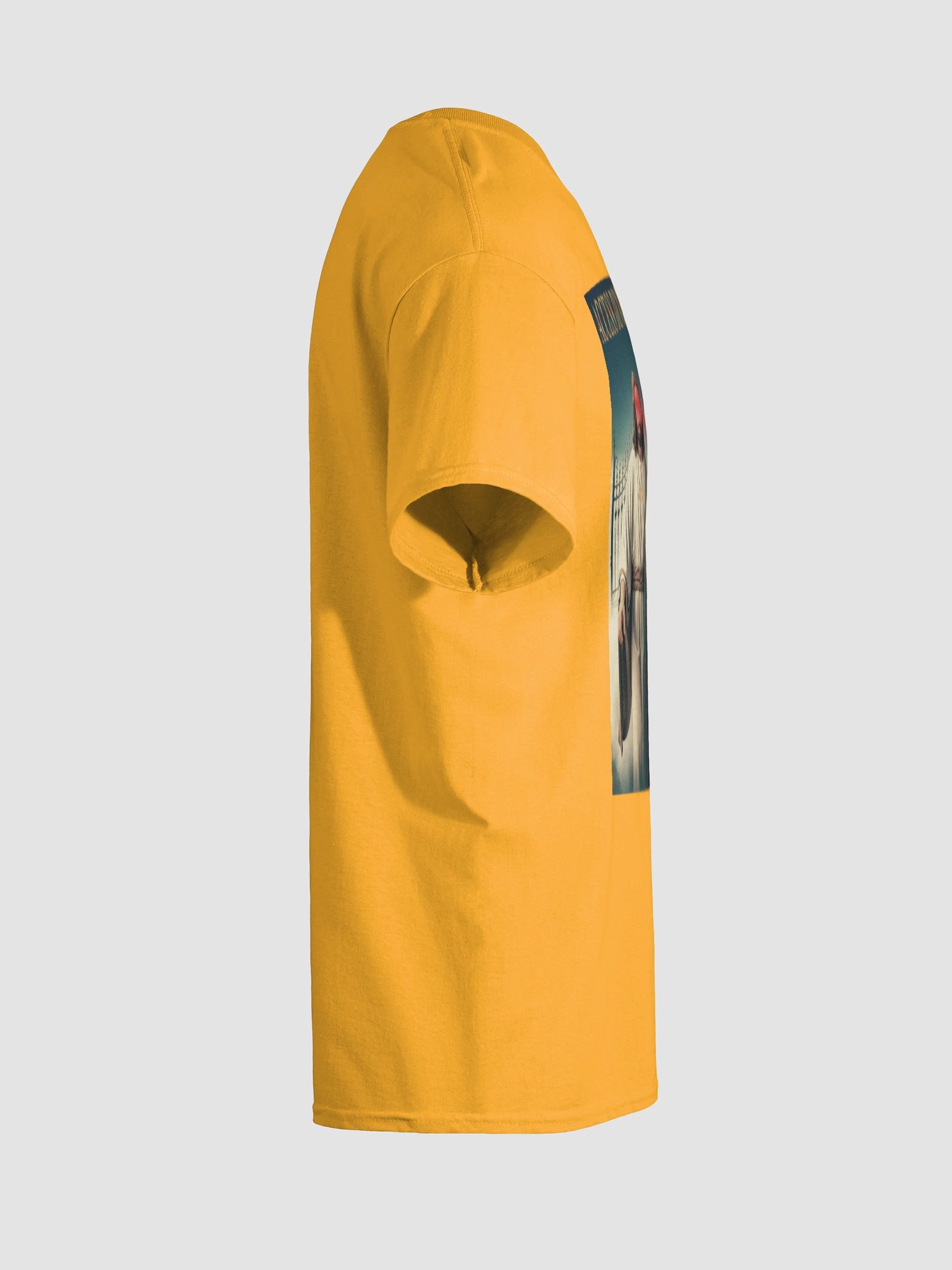 ACCESS DENIED product image (6)