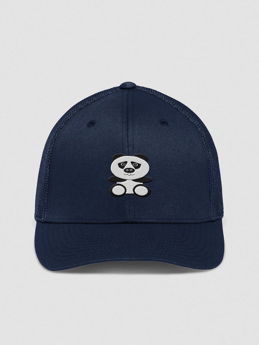 Chic Mesh Back Trucker Hat product image (2)