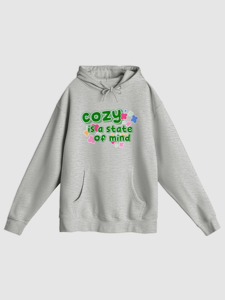 Cozy is a State of Mind Hooded Sweatshirt product image (4)