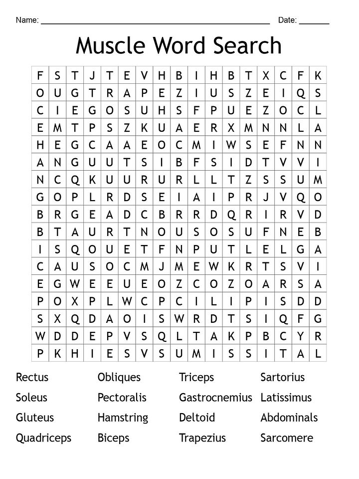Muscle Word Search: Flex Your Brain with 16 Key Terms! product image (1)