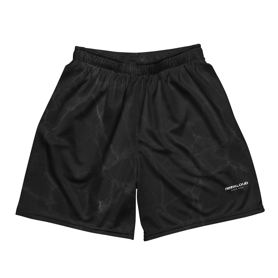 NOIR Mesh Shorts product image (2)