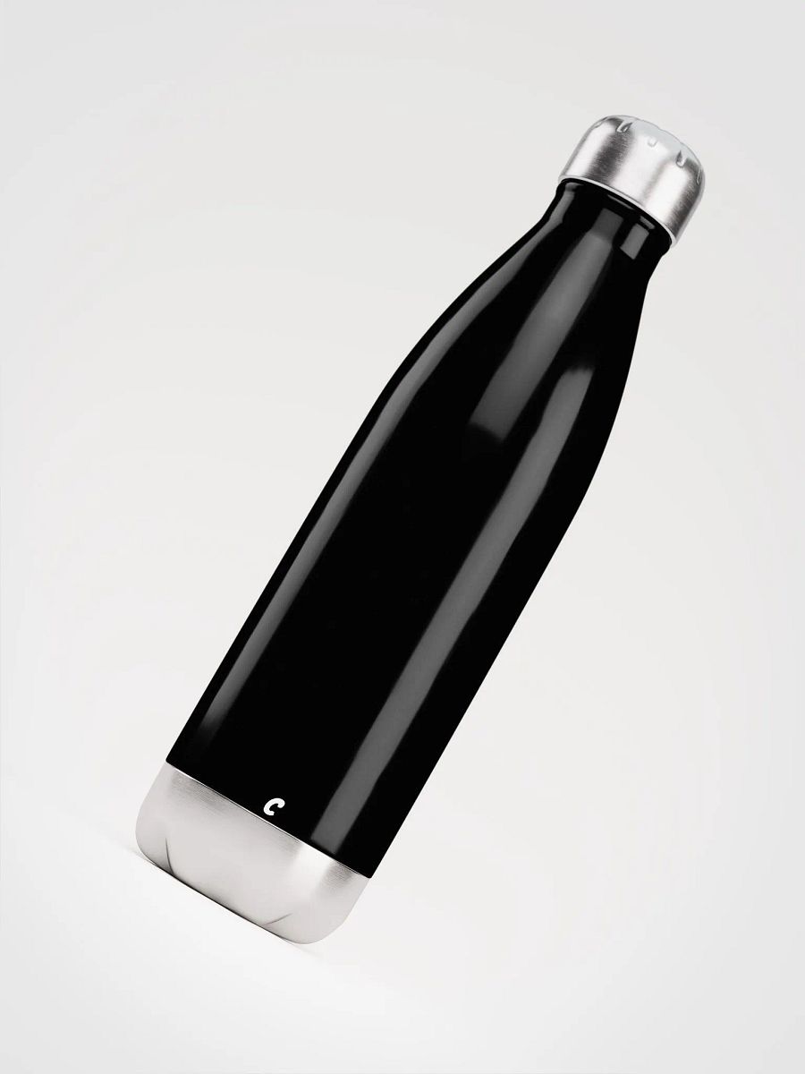 Stainless Steel Water Bottle product image (4)
