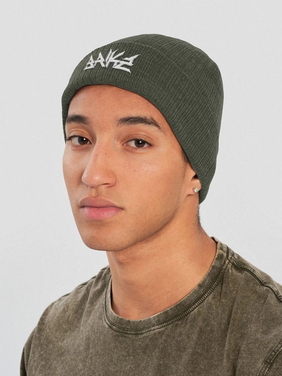 Brikz logo Beanie product image (8)