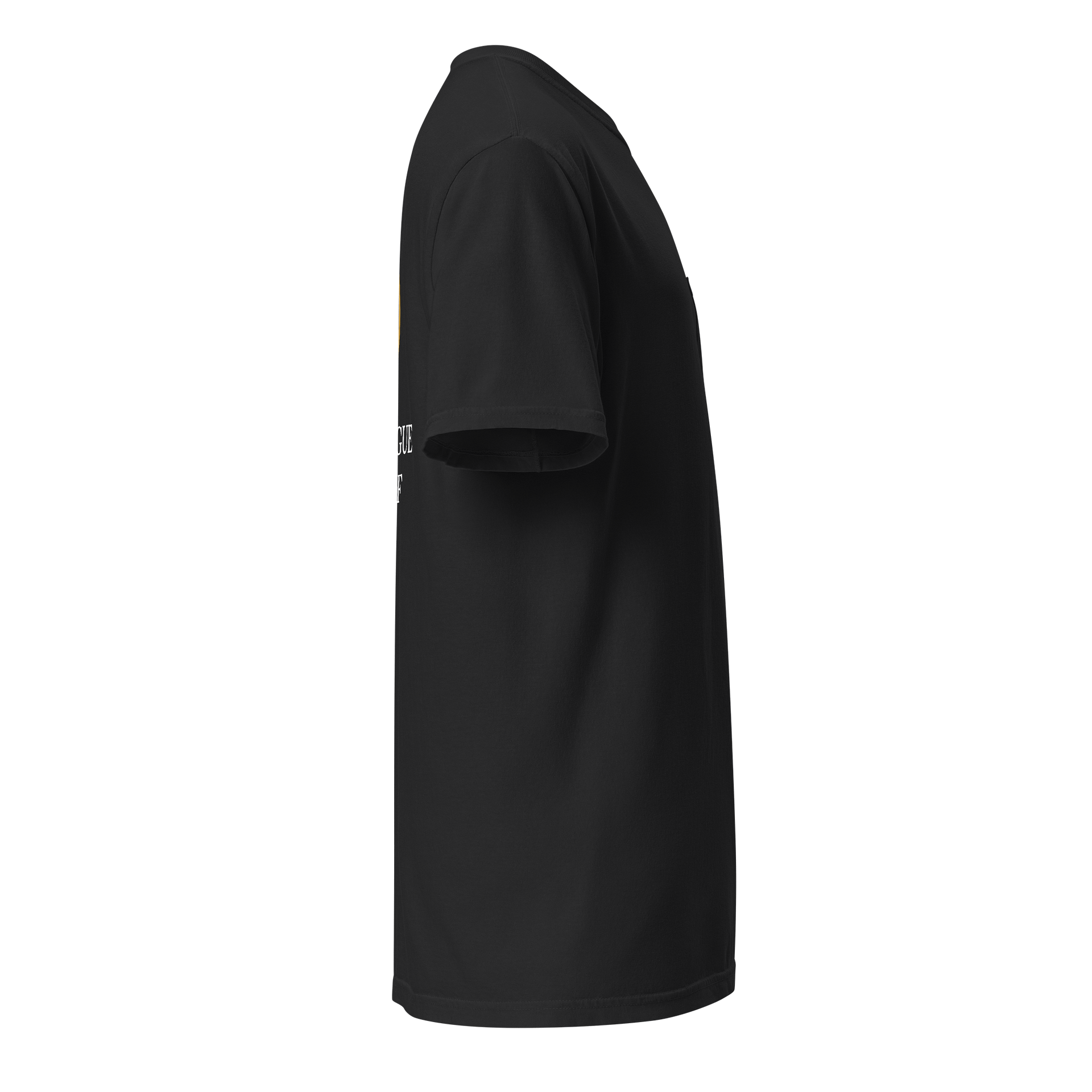 COMFORT COLORS IS TOO EXPENSIVE PLAYOFF TEE product image (10)