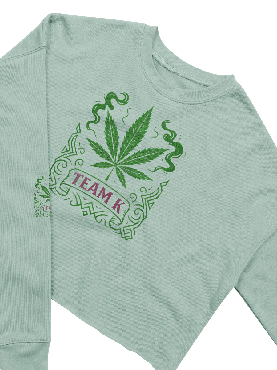 Team K V-7 Crop Sweatshirt product image (3)