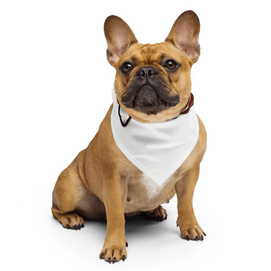 English Avenger Logo Bandana product image (6)