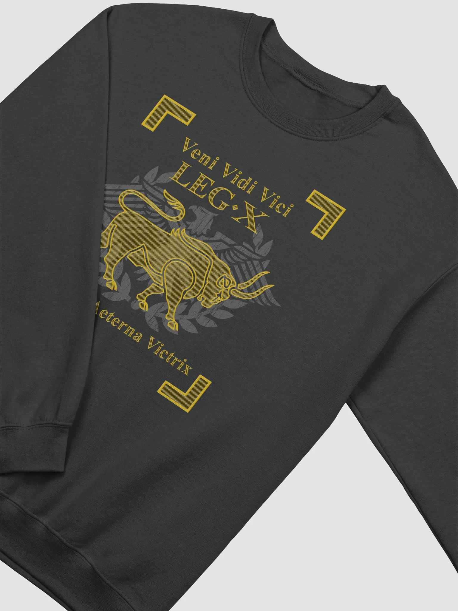 Legion X - veni vidi vici - Sweatshirt product image (20)