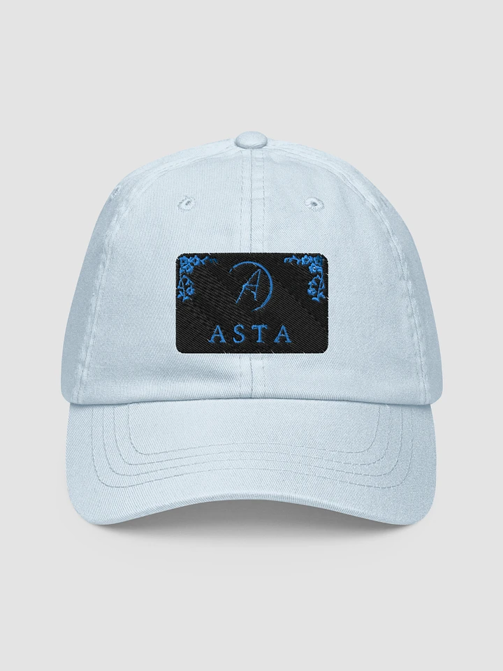 Asta Pastel Baseball Hat product image (1)