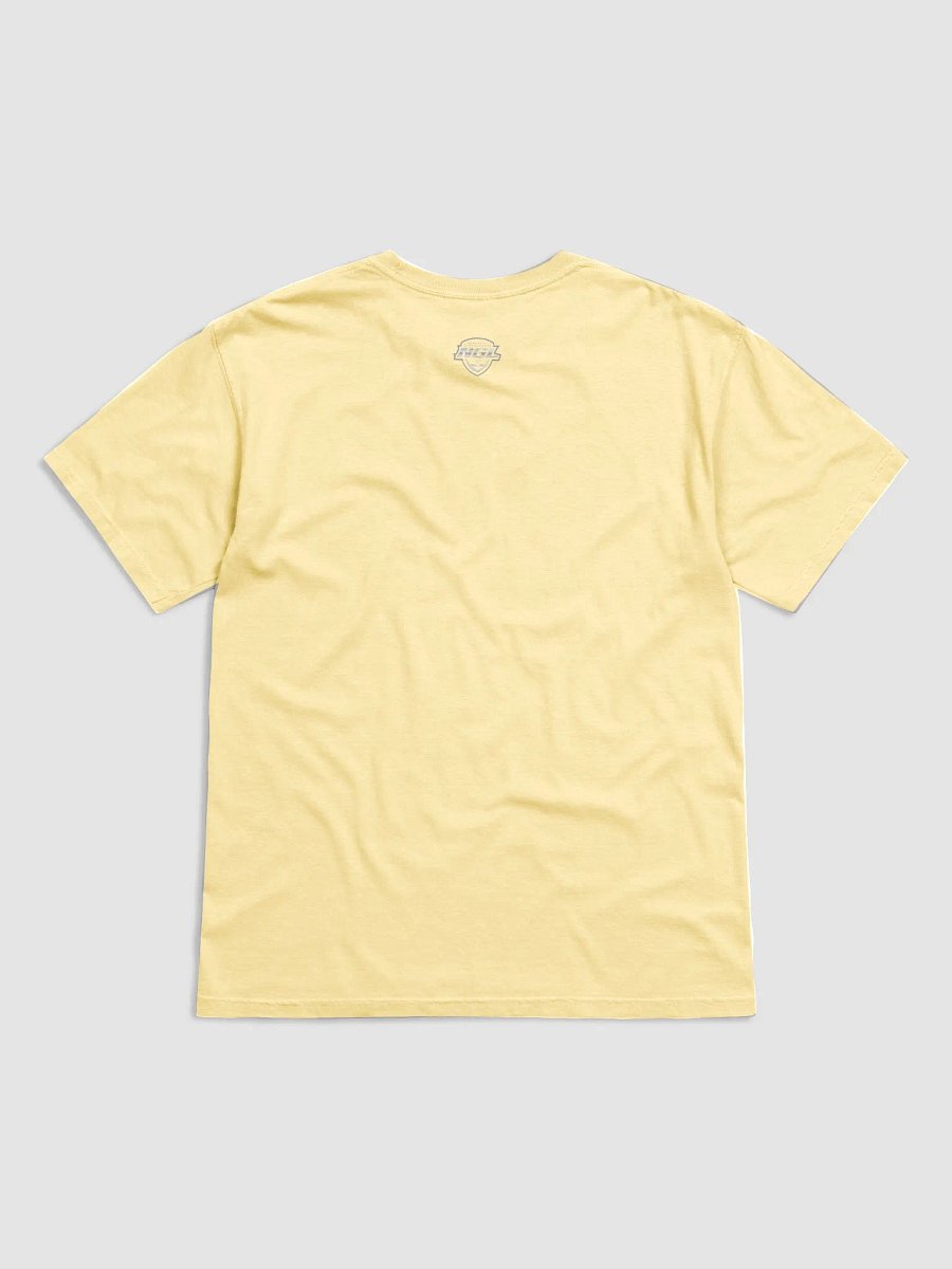 Mississippi Mudcats T-Shirt by Comfort Colors product image (2)