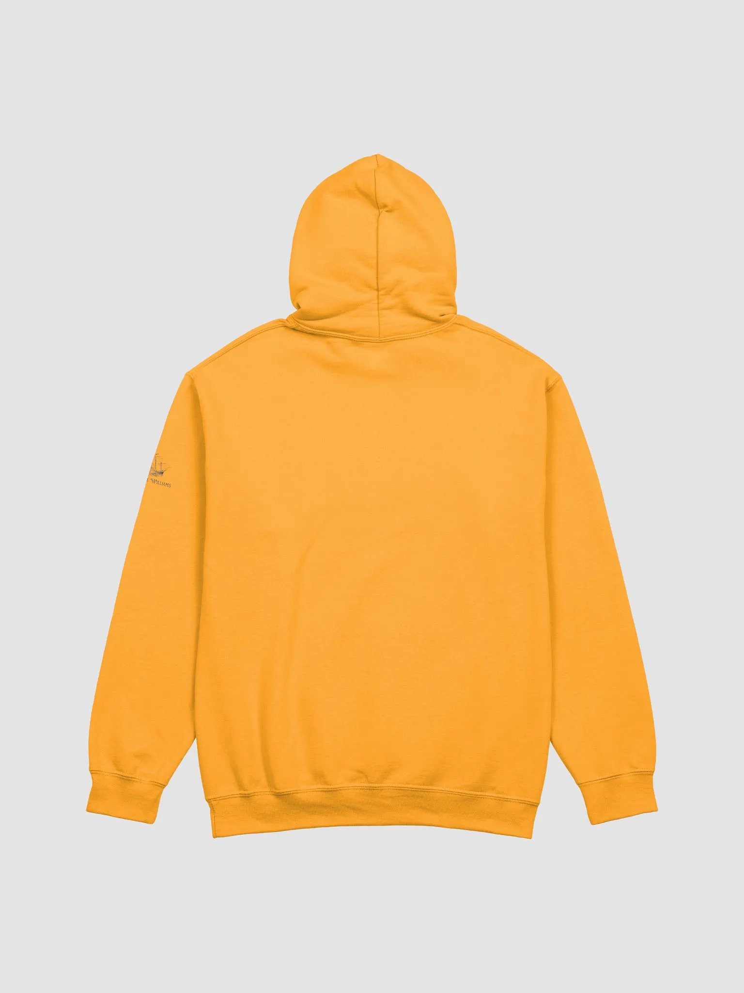 Bitcoin Hoodie product image (41)