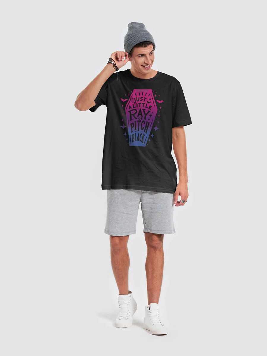Little Ray Bi Flag T-Shirt product image (3)