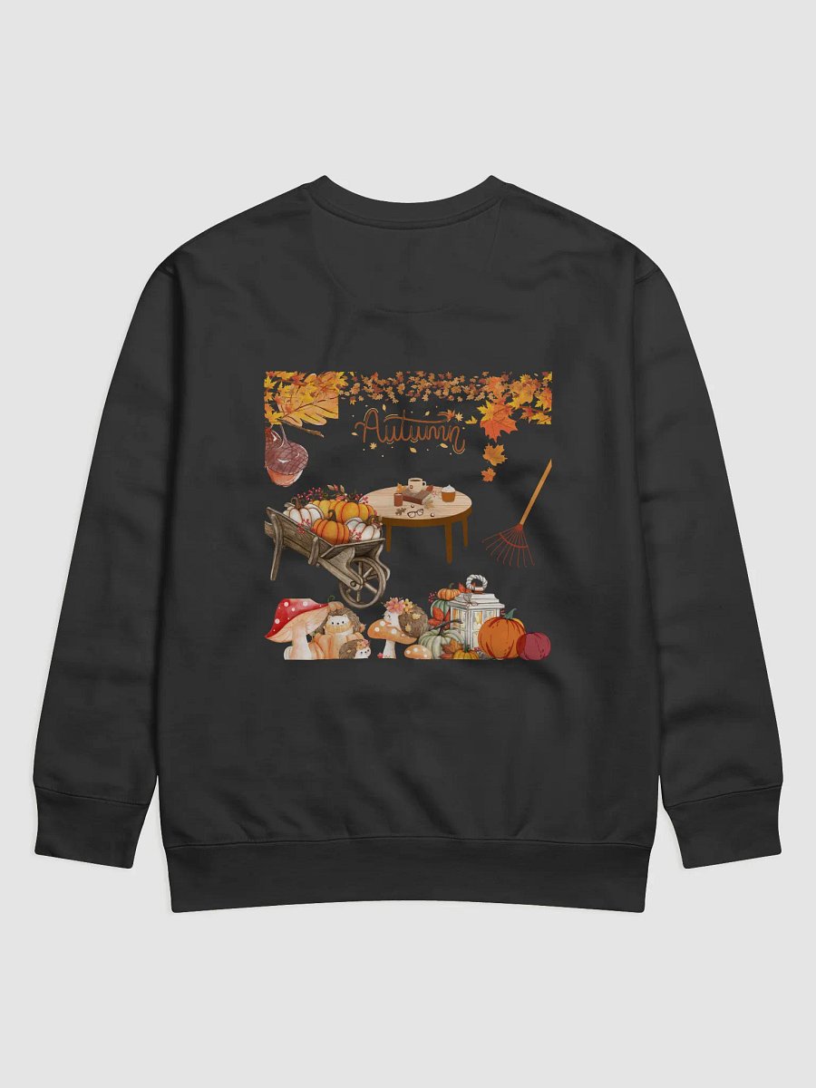 Autumn sweater product image (5)