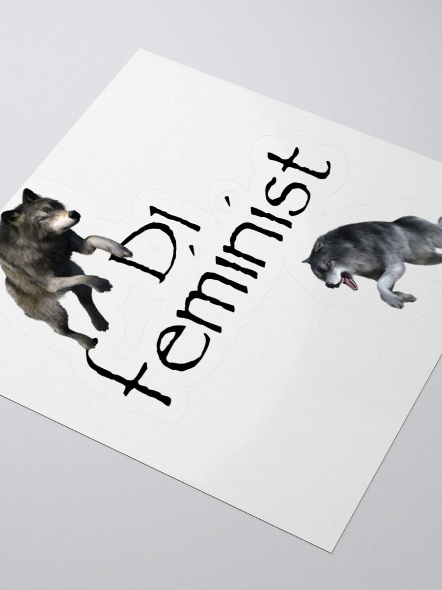D1 Feminist Stickers product image (11)