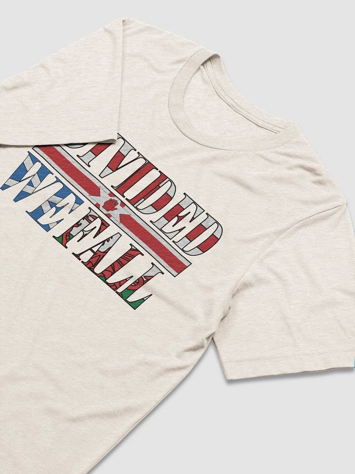 Divided We Fall - UK - Bella+Canvas Triblend Short Sleeve T-Shirt product image (1)