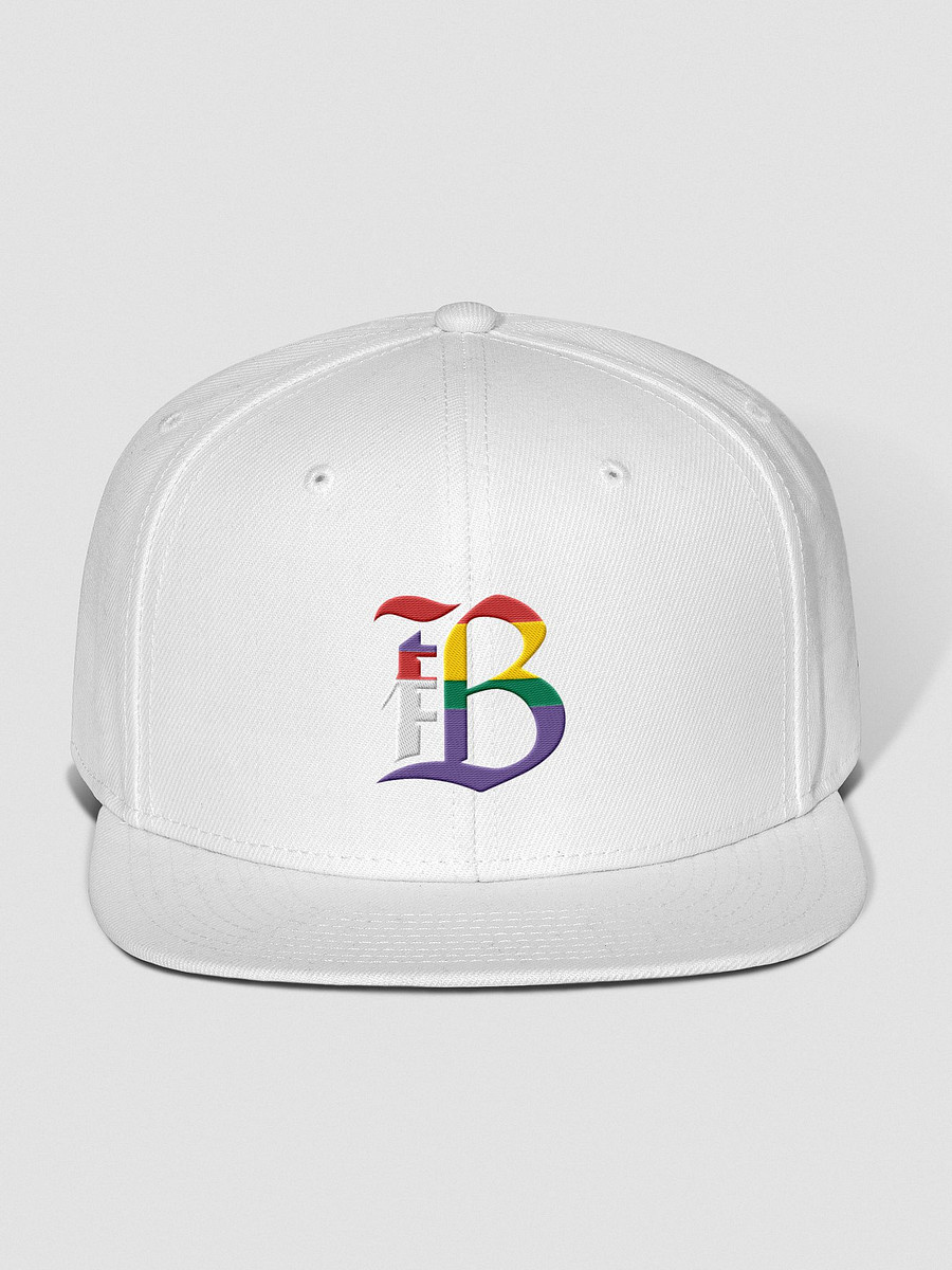 tampa bay rays pride hat