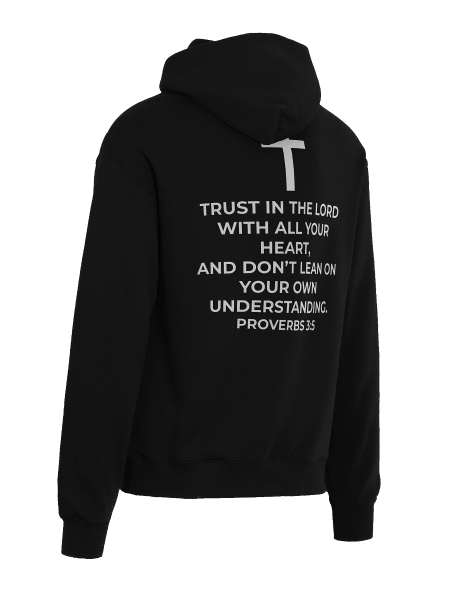 Proverbs 3:5 Eclipse Oversized Hoodie product image (22)