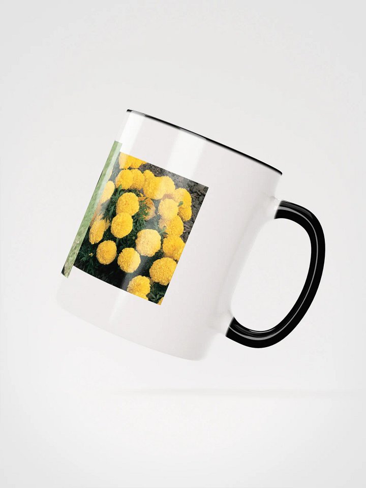 sunshine product image (7)