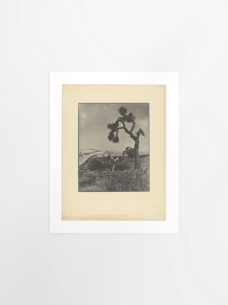 The Desert Wind By Louis Fleckenstein (1930) - Print product image (1)