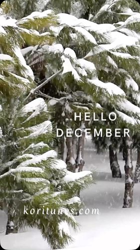 Hello December!  #december #memoriesofchristmaspast #thefirstsnow #socal