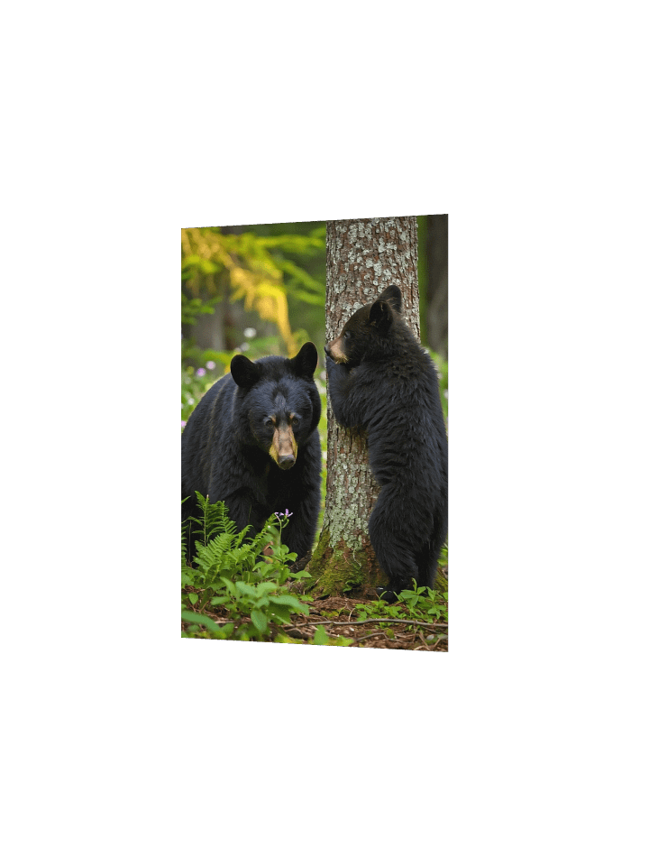 Forest Fun - Black Bears Hide and Seek Poster product image (18)