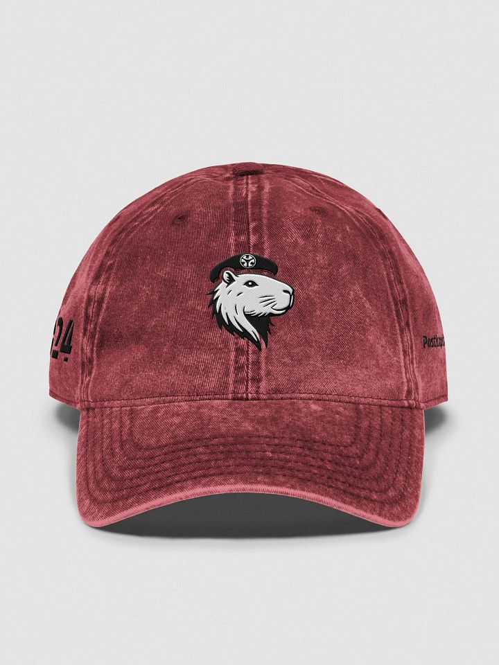 PoKa Symbio Vintage Wash Hat - 2024 product image (1)