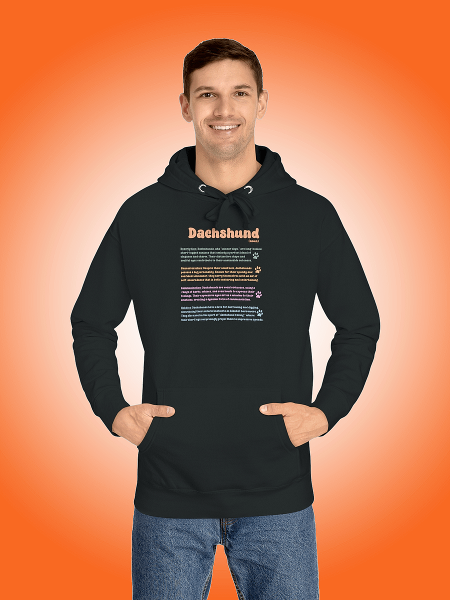 Definition of a Dachshund product image (1)